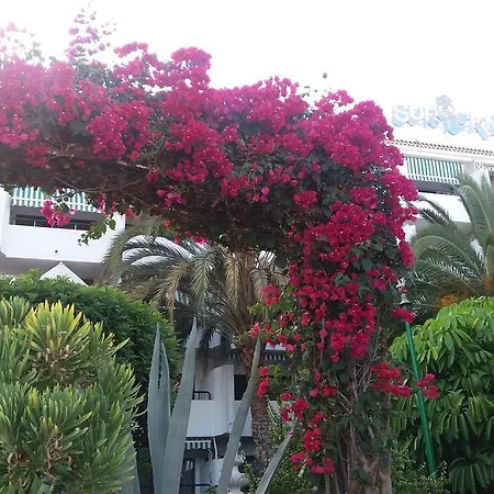 Surycan Apartment Maspalomas (Gran Canaria)